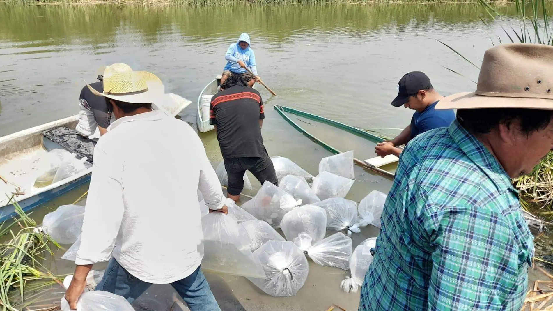 pescadores-laguna-coatetelco-angelina